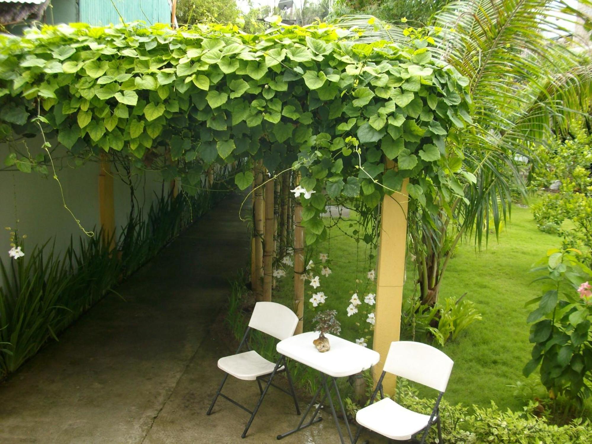 Manoc-Manoc Greenyard Inn מראה חיצוני תמונה